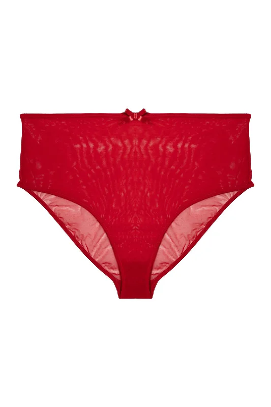 seamless microfiber women briefs for a luxurious feelElizabeth Red Marabou PinUp Mesh Brief